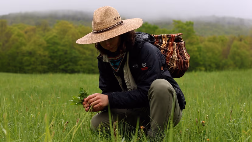 Rewilding Program Series