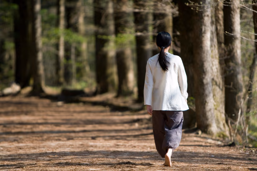 Guided Forest & Nature Therapy