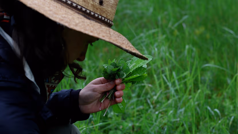 Regenerative Stewardship Workshops